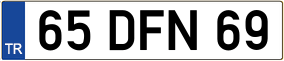 Trailer License Plate